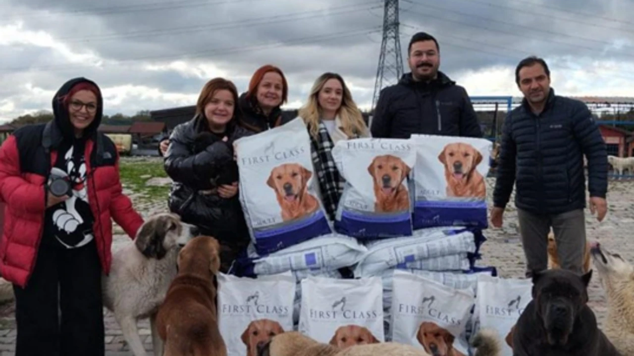 CBT MEDYA BİLİŞİM TEKNOLOJİ SOKAK CANLARINA DUYARLILIĞI